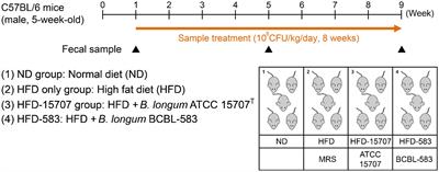 In vivo Trial of Bifidobacterium longum Revealed the Complex Network Correlations Between Gut Microbiota and Health Promotional Effects